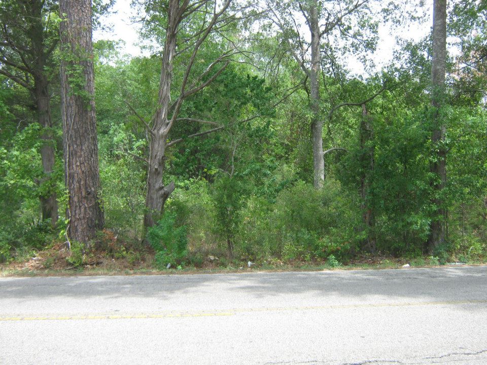 Street view of Conroe Community Cemetery